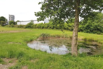 Warum der Löschteich eines vogtländischen Gewerbegebiets in Windeseile repariert werden musste - Der Löschteich für das Gewerbegebiet Siebenhitz ist wieder gut gefüllt.