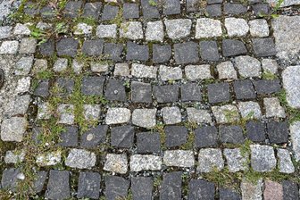 Warum der Oelsnitzer OB dem Grünwuchs zwischen Pflastersteinen auf dem Markt etwas Gutes abgewinnt - Auf dem Oelsnitzer Markplatz findet sich Grünbewuchs zwischen den Pflasterstein. Das hat auch seinen Sinn, findet der Oberbürgermeister.
