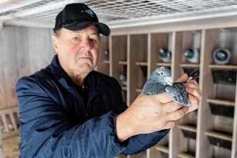 Warum der Umzug von Tauben von Grünbach nach Kanada ein Jahr gedauert hat - Der Grünbacher Taubenzüchter Kurt Buchheim mit seiner erfolgreichsten Taube.