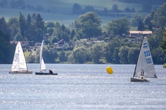 Warum die Badewasserqualität der Talsperren im Vogtland jetzt überprüft wird - Segler an der Talsperre Pöhl.