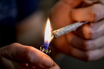 Warum die Freigabe von Cannabis so umstritten ist - Das „Gras“ für den Joint gibt es nach den Plänen der Ampel-Koalition bald aus eigenem legalen Anbau im Cannabis-club.
