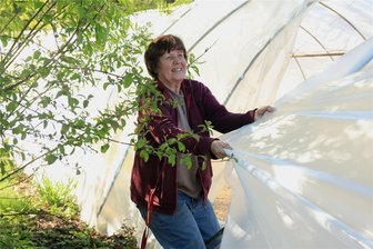 Warum die Gärtnerei Popp in Neumark jetzt wieder optimistisch in die Zukunft blickt - Sabine Popp muss sich mächtig ins Zeug legen, um die Folie mit mehreren Helfern an ihren Platz zu ziehen.