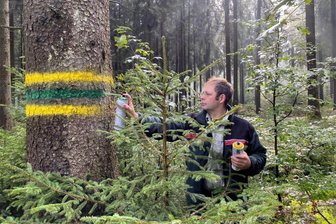 Warum die Kottenheider Moorbirke jetzt groß raus kommt - Revierförster Christoph Kühn beim weiträumigen Markieren des Areals, in dem die wertvollen Moorbirken zu finden sein.