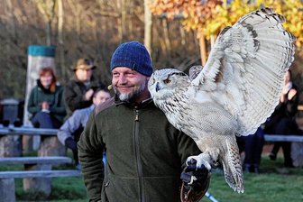Warum die Plauener Falknerei derzeit auf Flug-Shows verzichtet - Falkner Hans-Peter Herrmann erzählte den Besuchern Mystisches überEulen. Sein sibirisches Uhu-Weibchen Olga war der Star.