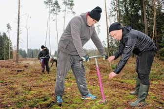 Warum die Stadt Pausa-Mühltroff beim Zukunftswald die Nase vorn hat - Ronald Geißler und Heiko Scherz beim Baumpflanzen auf einer Waldfläche nahe Pausa. Dort gab es in diesem Jahr durch Sturm und Borkenkäfer massive Schäden.