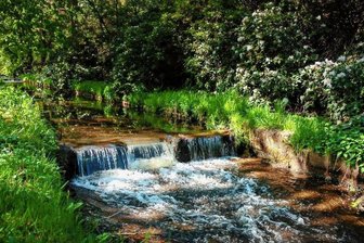 Warum die Weiße Elster in Bad Elster bald trockengelegt wird - Idyllisch: Die Weiße Elster in Bad Elster. Am Gewässer starten Ende Juni Bauarbeiten.