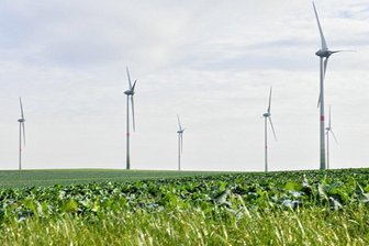 Warum die Windräder bei Naundorf still stehen - Die Windkraftanlagen auf der Schmohlhöhe stehen gut einem Monat still. 