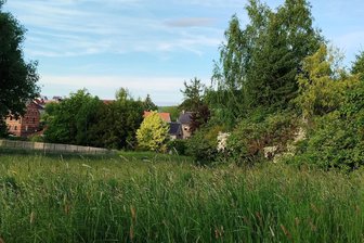 Warum ein Dorf im Vogtland neben dem Freibad ein Biotop ausweist - Die Wiese nahe dem Freibad Neumark wird zum Biotop erklärt.