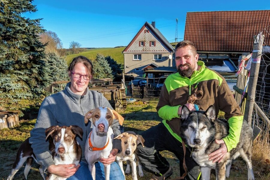 Warum ein Ehepaar aus Berlin ins Erzgebirge umzieht - Markus Zander und Tanja Diehl haben der Hauptstadt den Rücken gekehrt und sind mit ihren Hunden ins Erzgebirge gezogen. 