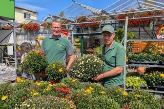 Warum ein Freiberger Gärtner rät, im Herbst schon Frühblüher zu pflanzen - Martin (l.) und Michael Bimberg wissen, dass der Herbst eine der besten Jahreszeiten für den Garten ist