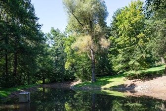 Warum ein Parkidyll weiter aufgewertet wird - Der Teich im Hermann-Ende-Park in Hohenstein-Ernstthal wurde in den vergangenen Monaten saniert. 