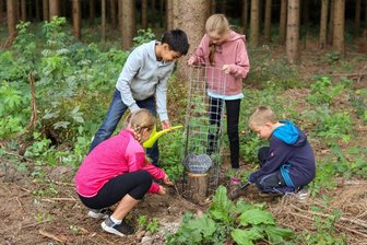Warum ein Rodewischer Grundschüler einen Baum Günter nennt - Viertklässler der Schiller-Grundschule helfen beim Bäumepflanzen. Luis (rechts) hat einen Baum nach seinem verstorbenen Opa Günter benannt.