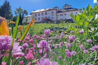 Warum für eine Aktion in Augustusburg Menschen gesucht werden, die ihre Lebensgeschichte erzählen - Das Treffen für die Lebendige Bibliothek findet im Kurfürstin-Anna-Garten in Augustusburg statt.
