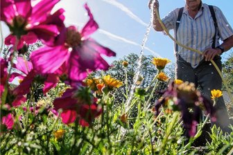 Warum Gärtner ihre Pforten öffnen sollen - Kleingärtner werden gebeten, ihre Pforte zu öffnen. 