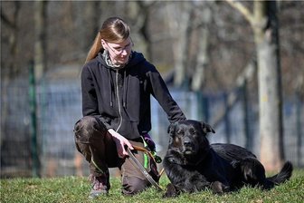Warum Haustiere aus der Ukraine vermehrt in Chemnitzer Tierheimen landen könnten - Vanessa Haasper vom Tierheim Chemnitz mit Mischlingshund Veit. Er ist am längsten in der Einrichtung. Für ihn wird seit 2016 ein neues Zuhause gesucht. Seine Vorbesitzer waren überfordert. Tierheimleiter Jens von Lienen fordert, dass Deutschland einen Hundeführerschein einführt.