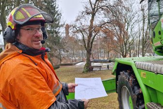 Warum im Auerbacher Goethepark Bäume fallen müssen - Beim Baumroden arbeitet Michael Steiner von der Firma Richter nach Plan. Im Goethepark soll auch die Sicht auf Schlossturm und Laurentiuskirche wieder frei sein.