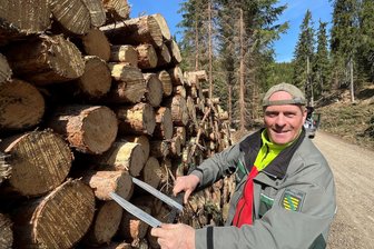 Warum im Schwarzwassertal bei Pobershau so viele Bäume gefällt wurden - Revierförster Hubertus Heine kontrolliert die Stammdurchmesser an einem Holzpolter.