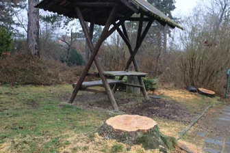 Warum im Syrauer Höhlenpark jetzt Bäume gefällt werden mussten - Die Spuren der Baumfällungen am Höhlenpark in Syrau sind an mehreren Stellen sichtbar.