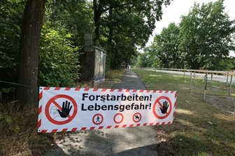 Warum in Meerane Baumkronen gekappt werden - Aus Sicherheitsgründen sind die Wege im Park während der Forstarbeiten gesperrt worden.