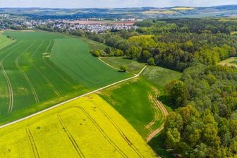 Warum in Neukirchen ein weiterer Friedhof entstehen soll - Ein Blick auf das Gebiet des Neukirchener Waldes. Hier möchte die Gemeinde einen Waldfriedhof einrichten.