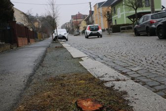Warum in Pausa zahlreiche Straßenbäume gefällt werden mussten - Lücken in der Rotdorn-Allee nach den Baumfällungen in der Bahnhofstraße in Pausa.