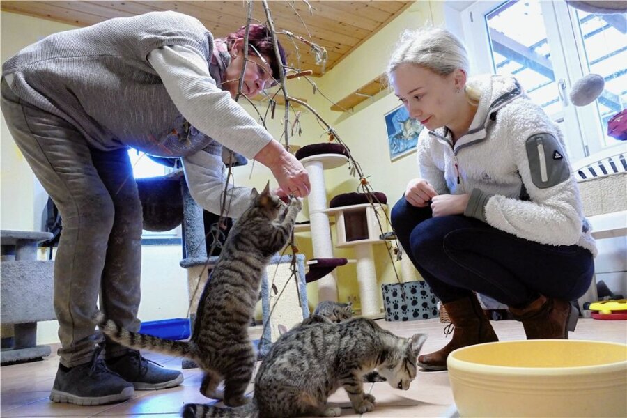 Warum Mitarbeiter der Tierauffangstation in Zschopau die Silvesternacht mit ihren Schützlingen verbringen - Christine Grzelka (links) und Jessy Weber kümmern sich neben weiteren Mitstreitern um das Wohl der Katzen und der anderen Bewohner.