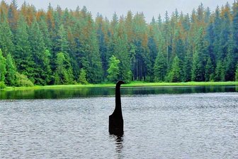 Warum Nessi den Schlemmteich in Gottesberg verlassen muss - Die ramponierte Nessi-Figur muss den Schlemmteich in Gottesberg wieder verlassen. Sie bekommt einen neuen Platz in einem Teich in Morgenröthe-Rautenkranz.