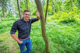 Warum Neukirchen die Pläne für einen Bestattungswald vorerst auf Eis legt - Der Bestattungswald in Neukirchen wird nicht im Neukirchener Wald gebaut. Das haben Bürgermeister Sascha Thamm und der Gemeinderat beschlossen. Doch es gibt Hoffnung.