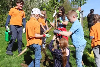 Warum Schüler aus dem Vogtland Müll sammeln statt Mathe zu büffeln - Kinder der Grundschule Steinberg pflanzen Bäume auf dem Schulgelände.
