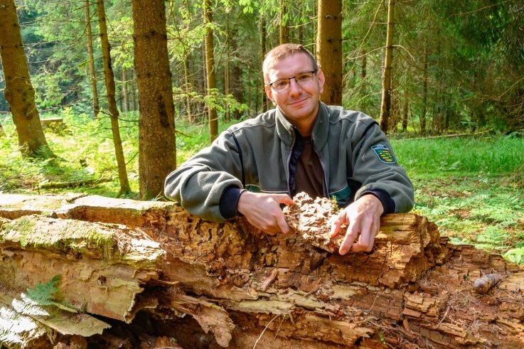 Warum unaufgeräumt für den Wald richtig ist - Alexander Clauß, Revierförster von Schönheide. 