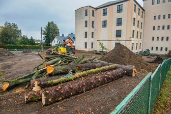 Warum wurden für den neuen Spielplatz in Thalheim Bäume gefällt? - Die Holzstämme liegen noch auf dem Gelände neben dem ehemaligen Berufsbildungszentrum. Die Planer wollten die Bäume eigentlich in den neuen Spielplatz integrieren. 