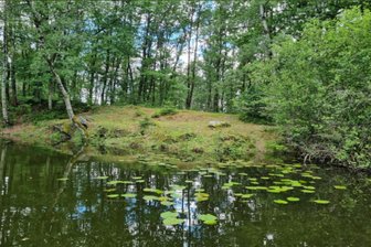 Was am Auerbacher Rosensee entstehen soll - Rund um den Rosensee in Auerbach soll ein Naturlehrpfad entstehen.