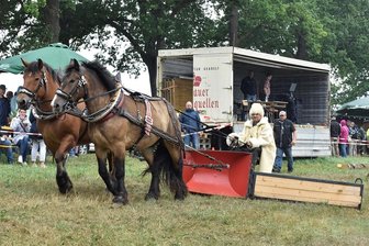Was am Wochenende im oberen Vogtland los ist - Zu den oft Fotografierten beim Holzrückewettbewerb zum Bergfest 2022 gehört Thomas Kuhn aus Pirk auf einem Schneepflug, den Tino Leonhardt aus Erlbach entwickelt und gebaut hat. Am Samstag steigt beim 51. Bergfest in Markneukirchen der Pferdetag.