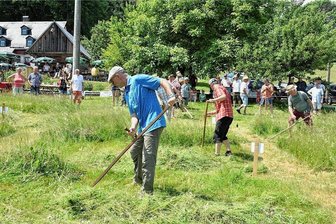 Was am Wochenende im oberen Vogtland los ist - Selber mal zur Sense greifen: Das können Besucher am Samstag zum Obstwiesensommer in Eubabrunn.