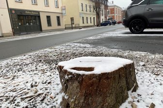 Was eine Treuenerin kritisiert und die Stadt als Fehler einräumt - An der Treuener Bahnhofstraße wurden in dieser Woche Bäume gefällt. Aufmerksame Bürger fragen nach, ob dort Ersatzpflanzungen geplant sind. In der Vergangenheit seien oft gefällte Bäume nicht ersetzt worden.