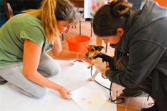 Was Halter beim Tag des Hundes in Reichenbach alles über ihre Vierbeiner erfahren - Diana Primas nimmt Pfötchenabdrücke von Jasmin Cmiras Roxy.