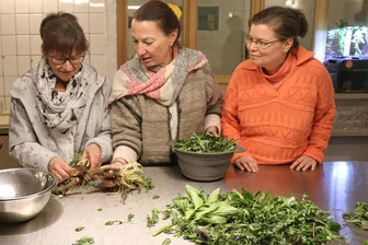 Was Himmelsschlüsselchen, Göttin Freya und Geweihe mit dem Kräuterkurs in Augustusburg zu tun haben - Elisabeth Püschmann (Mitte) bot den Teilnehmerinnen zum Kräuterkurs in Augustusburg an, auch die Löwenzahnwurzel zu probieren.
