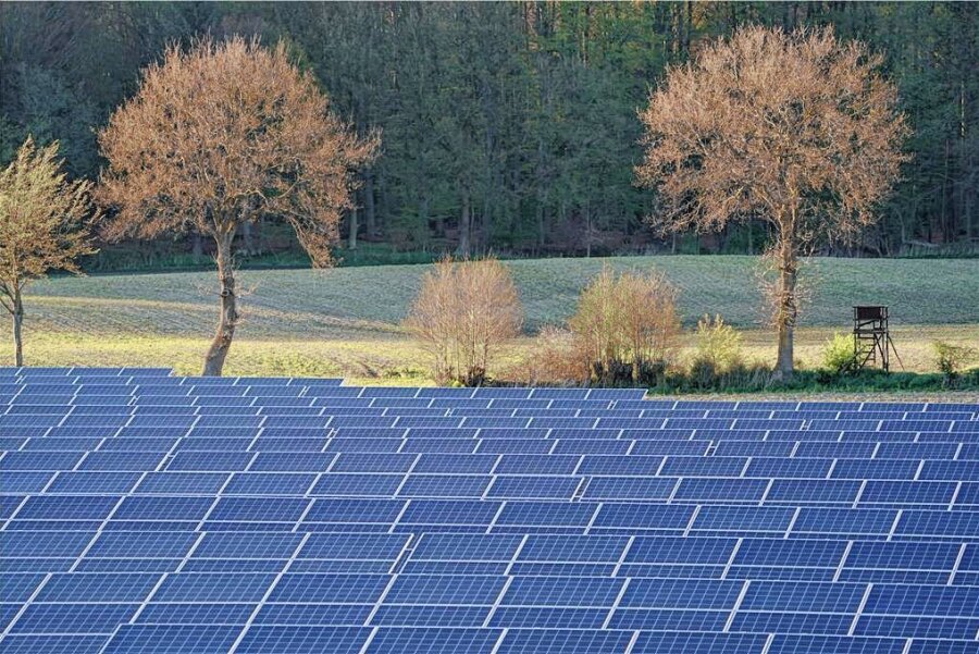 Was hinter den Plänen für eine Photovoltaikanlage auf einem Feld bei Mehltheuer steckt - Immer mehr Photovoltaik-Anlagen prägen die Landschaft. Nun soll auch eine bei Mehltheuer errichtet werden.