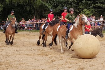 Was ist eigentlich Pferdefußball? Vogtländischer Pferdehof begeistert seine Gäste - Die „Riesenkartoffel" beim Pferdefußball ins Tor zu bugsieren, war gar nicht so einfach.