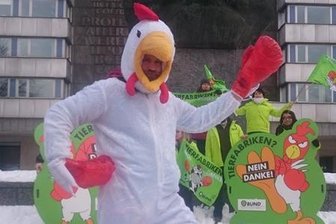 Was machen Hühnchen mit Boxhandschuhen am Marx-Kopf in Chemnitz? - Protest gegen Tierfabriken am Chemnitzer MArx-Kopf