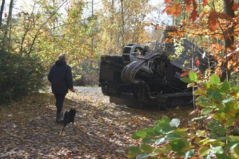 Was machen schwere Baumaschinen im Freiberger Stadtwald? - Im Stadtwald in Freiberg, nahe des Umspannwerkes, finden gegenwärtig Bauarbeiten statt.