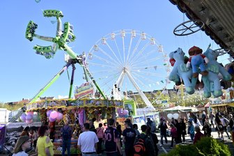 Was machen wir am Wochenende? Ausgehtipps für Westsachsen - Beliebt bei kleinen und großen Besuchern: Das Frühlingsvolksfest auf dem Zwickauer Platz der Völkerfreundschaft.