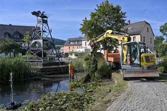 Was macht der Bagger am Wolfgangsee? - Zur Anlage in Zschorlaus Ortsmitte gehört ein Teich. An seinen Rändern waren die Pflanzen so üppig gewachsen, dass fast nichts mehr von der Wasserfläche zu sehen war. Jetzt wird der Bewuchs ausgedünnt.