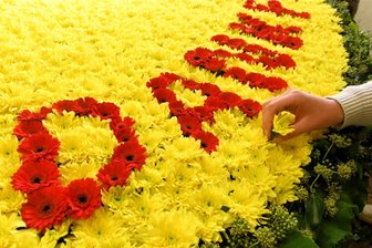 Was man in Mittweida mit 2500 Blüten in Rot und Gelb gestalten kann - Die Gärtnerei Starke hat das Blumenmotiv für den Festumzug zum Landeserntedankfest in Mittweida gefertigt.
