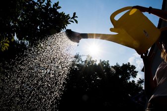 Was sich in Plauen hinter der Aktion „Gießstarker April“ verbirgt - Die Plauener sollen in diesem Jahr zur Gießkanne greifen, um öffentliches Grün zu wässern.