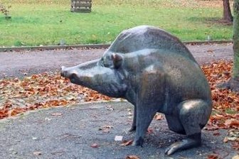 Was wird von Gottfried Kohl bleiben? - Auch der Keiler begrüßt die Tierparkbesucher.