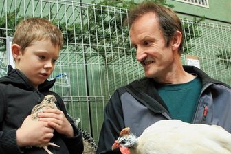 Was Züchter von Perlhühnern lernen - Ludwig Wolf (9) aus Heinsdorfergrund will seine Wachteln erst nächstes Jahr bewerten lassen, wenn er noch ein bisschen mehr weiß, sagt er. Werner Dörntlein aus dem Altmühltal dagegen hat mit den Perlhühnern schon an Bundes- und Europaschauen teilgenommen. 