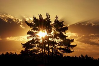 Wasser, Energie, Schutz der Bevölkerung: So reagiert Sachsen auf den Klimawandel - Flammender Sonnenaufgang zum Start in einen sommerlichen Hitzetag: Sachsen arbeitet jetzt an einer Strategie, um sich gegen die Folgen der Erderwärmung zu wappnen.