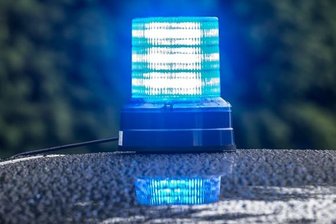 Wasser im Neuteich abgelassen - Zwei Tonnen Fische verendet -