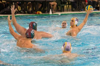 Wasserball-Bundesliga: SVV Plauen dreht Spiel gegen favorisierte Esslinger - Max Beuchert (am Ball) war beim Heimsieg gegen Esslingen einer von vier Plauener Spielern, die jeweils drei Mal trafen.